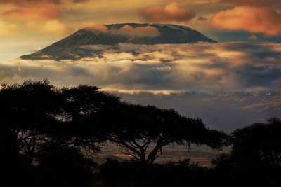 Kilimanjaro